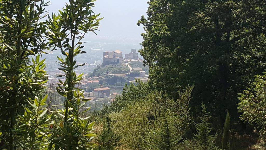 Villa Montemma 몬테사르치오 외부 사진